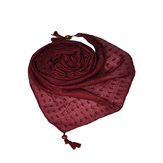 Shining silver liner all over stole with fringe's on the border - Maroon